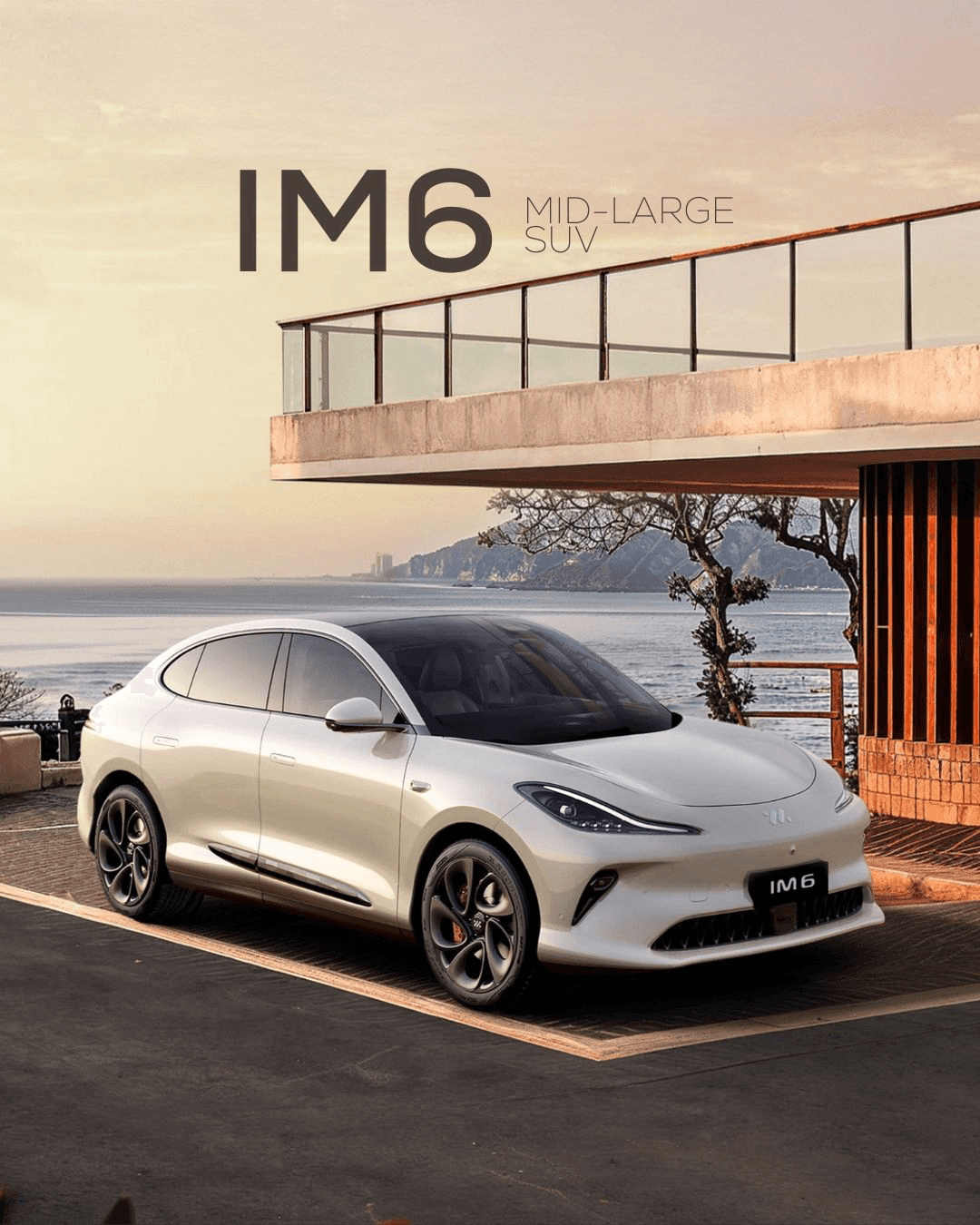 MG IM6 LUXURY